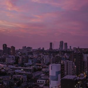 熟女高潮一区二区
